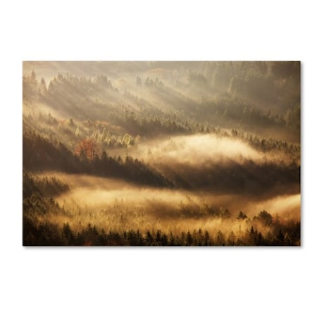 Martin Rak 'Autumn Rays' Canvas Art,22x32